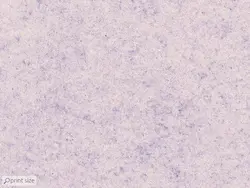 پوستر دیواری هنری هندسی M12111130