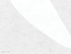 پوستر دیواری برگ هاوایی استوایی M12111700