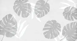 پوستر دیواری برگ هاوایی استوایی M12111700