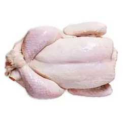 مرغ تازه کیلویی