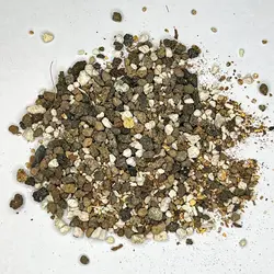 خاک مخصوص سانسوریا | زاموفیلیا