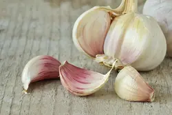 پرک سیر تابستانه