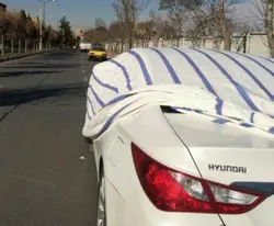 چادر خودرو رایکو کاور کانتینری مناسب برای ام وی ام 315 MVM کد 57943