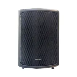 بلندگو دکوراتیو چیرمن مدل PG-8