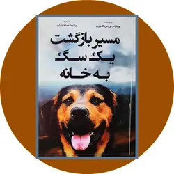 مسیر بازگشت یک سگ به خانه