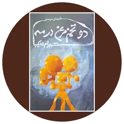 دو تخم مرغ در مه