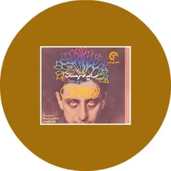 سایه سرمست: گزیده شعرهای روبر دسنوس