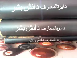 دایرة المعارف دانش بشر(3 ج)