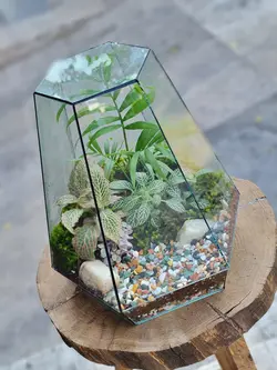 تراریوم چند وجهی کد 548 - گل فروشی آنلاین رزگاردن