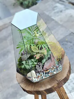 تراریوم چند وجهی کد 547 - گل فروشی آنلاین رزگاردن