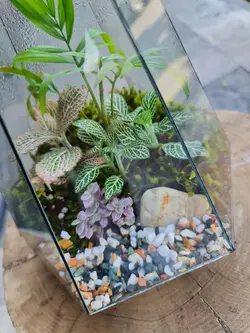 تراریوم چند وجهی کد 545 - گل فروشی آنلاین رزگاردن