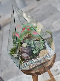 تراریوم چند وجهی کد 543 - گل فروشی آنلاین رزگاردن