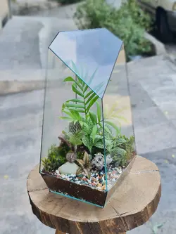 تراریوم چند وجهی کد 541 - گل فروشی آنلاین رزگاردن