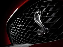 لوگو فورد موستانگ شلبی با پیچ و مهره