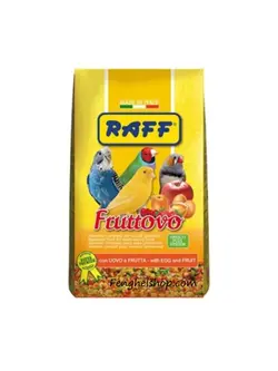 غذای تخم مرغی میوه ای راف