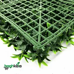 دیوار سبز آکوبا پرتقالی ابلق