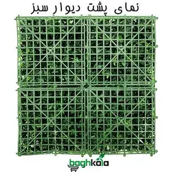 دیوار سبز آکوبا پرتقالی ابلق