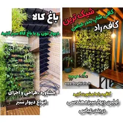 گلدان دیوار سبز (6 عدد)