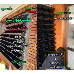 گلدان دیوار سبز (6 عدد)