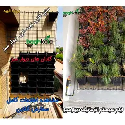 گلدان دیوار سبز (6 عدد)