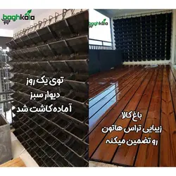 گلدان دیوار سبز (6 عدد)