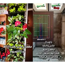 گلدان دیوار سبز (6 عدد)