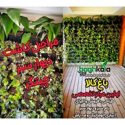 گلدان دیوار سبز (6 عدد)