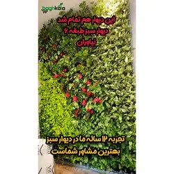 گلدان دیوار سبز (6 عدد)