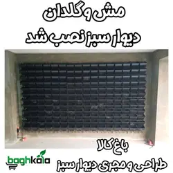 گلدان دیوار سبز (6 عدد)