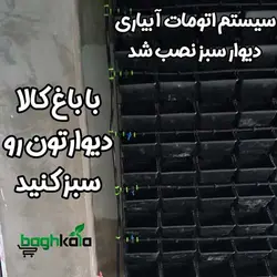 گلدان دیوار سبز (6 عدد)