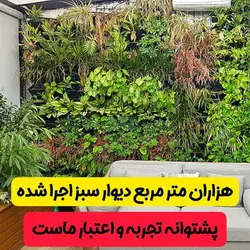 گلدان دیوار سبز (6 عدد)