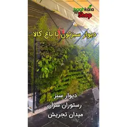 گلدان دیوار سبز (6 عدد)