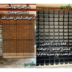 گلدان دیوار سبز (6 عدد)