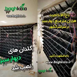 گلدان دیوار سبز (6 عدد)