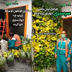 گلدان دیوار سبز (6 عدد)