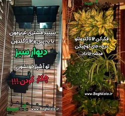 گلدان دیوار سبز (6 عدد)