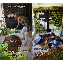 گلدان دیوار سبز (6 عدد)