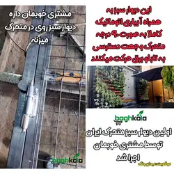 گلدان دیوار سبز (6 عدد)