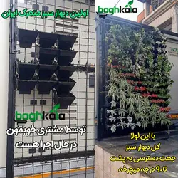 گلدان دیوار سبز (6 عدد)