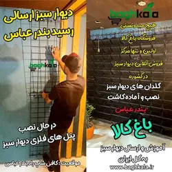 گلدان دیوار سبز (6 عدد)