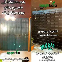 گلدان دیوار سبز (6 عدد)