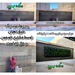 گلدان دیوار سبز (6 عدد)