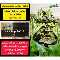 گلدان دیوار سبز (6 عدد)