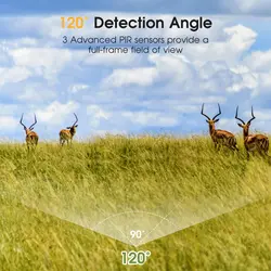 دوربین تله ای شکاری CRENOVA PH800W (32مگاپیکسل 4K )