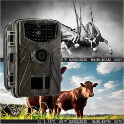 دوربین تله ای شکاری UCAM 804A (20 مگاپیکسل) - فروشگاه اینترنتی مالکد