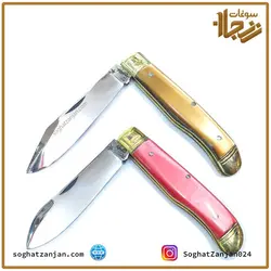 چاقو میوه خوری استیل تولیدی زنجان