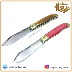 چاقو میوه خوری استیل تولیدی زنجان