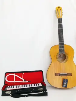 ملودیکا (به انگلیسی: Melodica) برند برادر(آیدین)