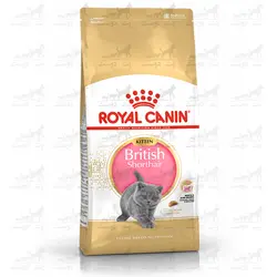 غذای خشک بریتیش کیتن رویال کنین برای بچه گربه وزن 2 کیلوگرم