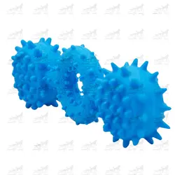 اسباب بازی دندانی مدل ونوس کد 1415